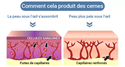 🌙 EAST MOON – La crème contour des yeux qui redonne vie à votre regard