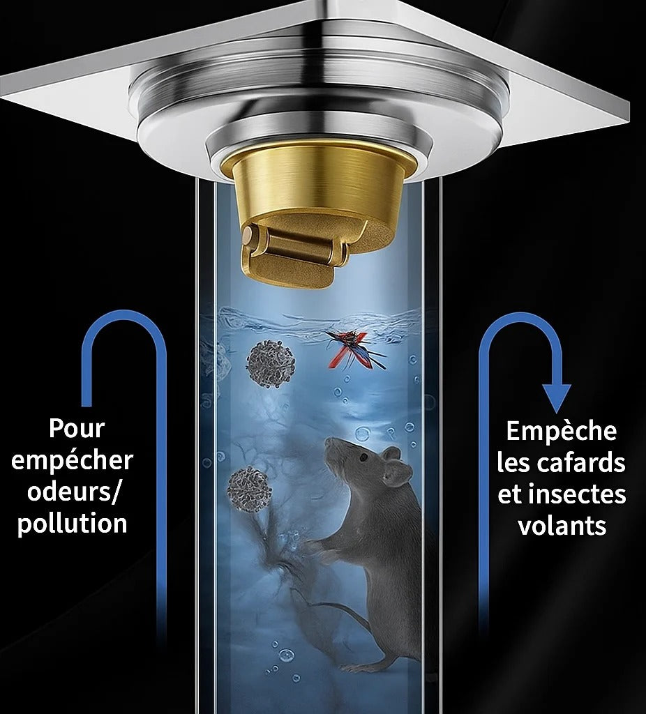🛡️ Clapet Anti-Retour – La protection indispensable pour votre salle de bain