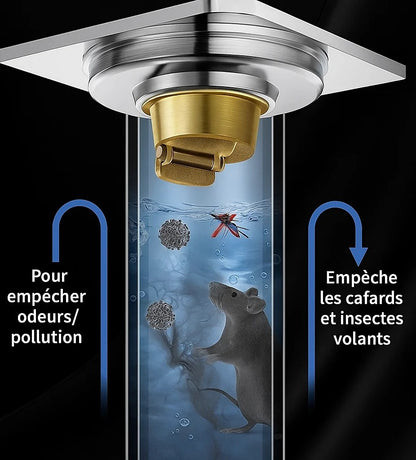 🛡️ Clapet Anti-Retour – La protection indispensable pour votre salle de bain